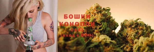 СК Зеленокумск
