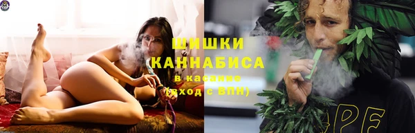 СК Зеленокумск