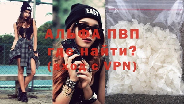 СК Зеленокумск